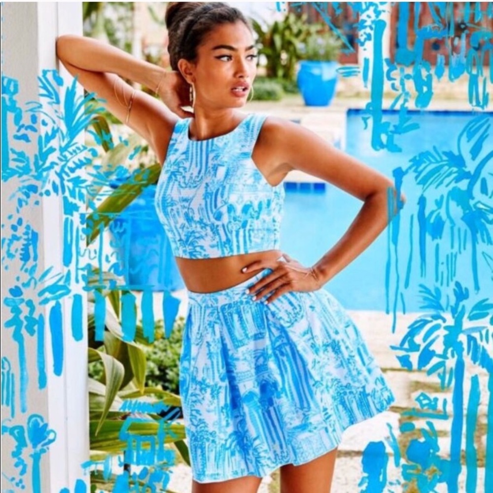 NWT Melody Crop Top & Pleated Skirt Set